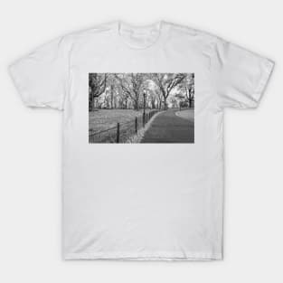 Walking Path Central Park BW T-Shirt